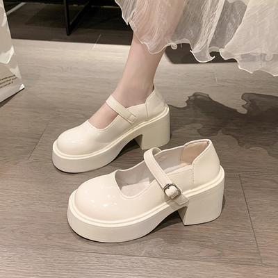 Mary Jane Shoes In the Autumn and Winter of 2025, New Round Head Thick Sole with Small Leather Shoes, Light Mouth Single Shoes, Versatile High Heels
