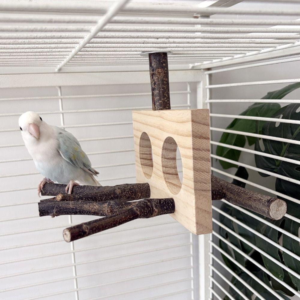 Natural Wood Bird Branch Stand Detachable Wear-resistant Parrot Parrot Perch Double-hole Perch Chew-able Bird Stand Perch
