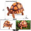 Ocean Wildlife Simulation Toy Set: Sea Turtle, Shark, Whale, Sea Lion, Tiger Shark, Manta Ray, Seal, Grouper.