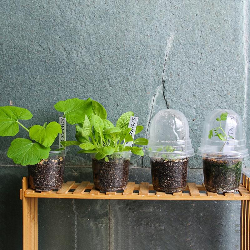 10/30Pcs Clear Nursery Pots Flowerpot Thickened Seedling Cup Gardening Transplantation Potted Flower Pot With Drainage Holes Set