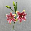3D Printing Fake Lily Bouquet 2 Heads Wedding Bridal Bouquet  for Home Wedding Decor
