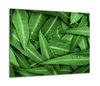 GLASS PROTECTIVE PLATE FOR STOVE 60x52 LEAVES