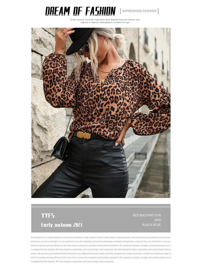 2025 Spring Leopard Print Chiffon Long-Sleeve Women's Pullover Shirt