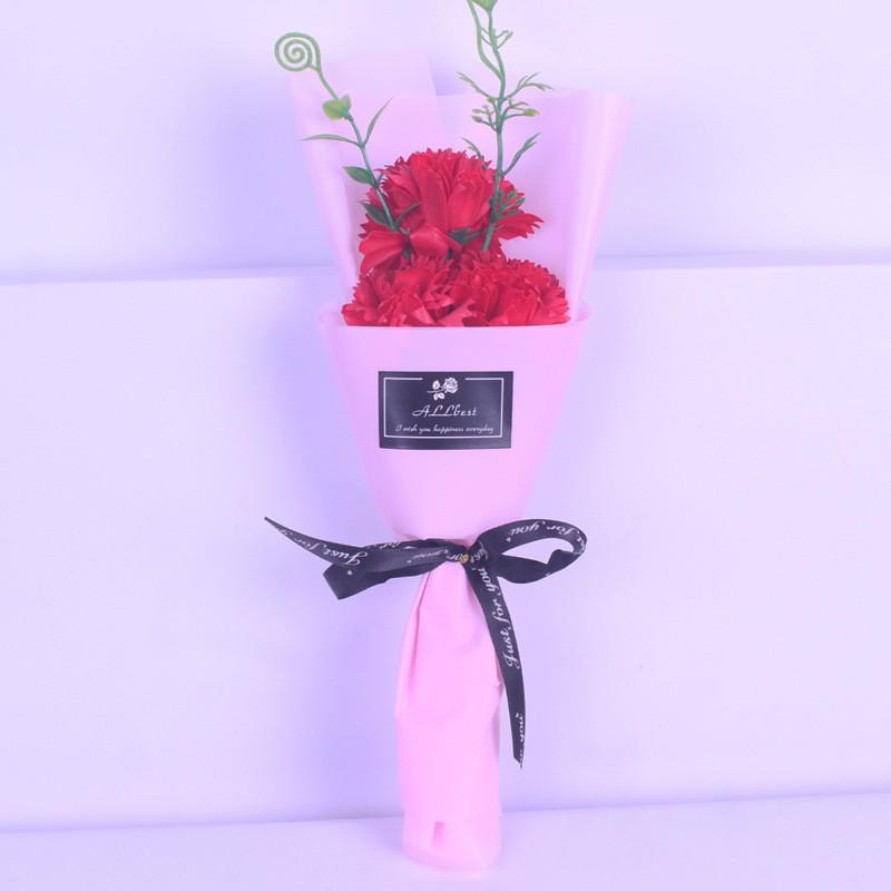 Teacher's Day 5-Flower Bouquet - Red Carnation & Soap Roses, Valentine & Qixi Gift