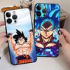 Cartoon Dragon Ball Funda Phone Cover Phone Case for Apple iPhone XR XS MAX 11 12 Air 14 16 17 Pro Max 15 Pro 7 8 13