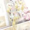 Preserved Eryngium Blue Planet Glass Dome DIY Wedding Flowers
