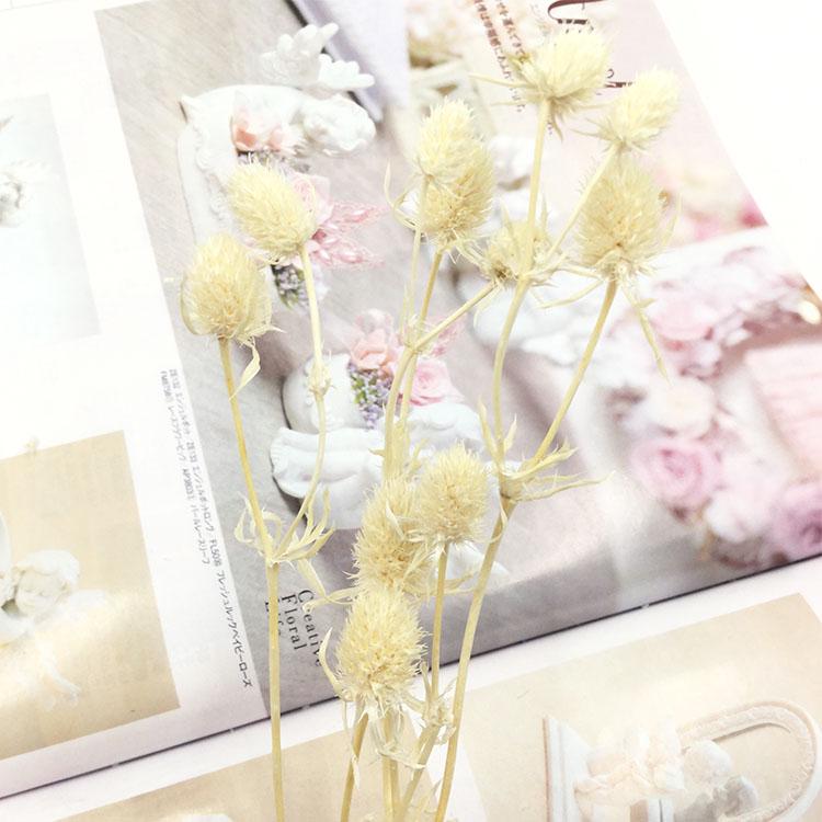 Preserved Eryngium Blue Planet Glass Dome DIY Wedding Flowers