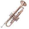 Antique-Style B-flat Wind Instrument for Students & Beginners - Professional Performance with Labor-Saving Keys
