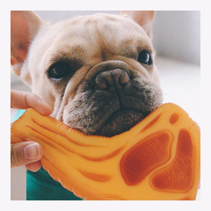 dog training squeaker