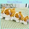 Husky Siberian Cute Plush Doll With Pp Cotton Material For Childrens Playtime