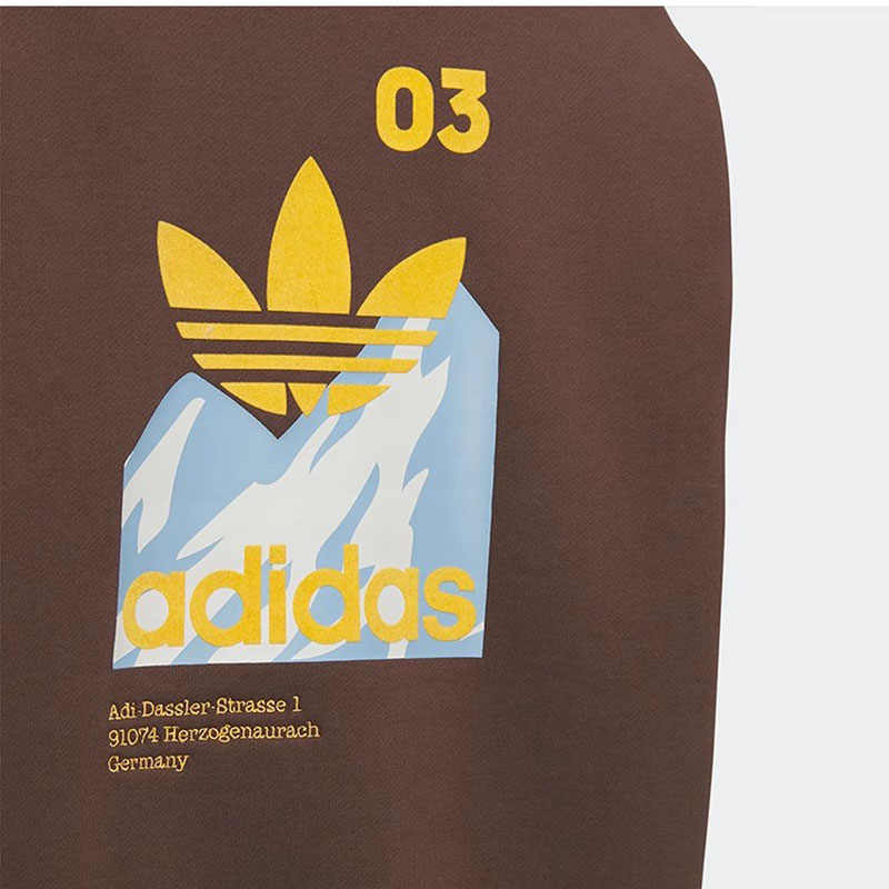 Adidas Originals Letter Logo Printed Sports Hoodie Men hoodies Brown IZ1519