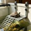 Grande Piattaforma per Tartarughe Stabile, Doccetta per Arrampicata a Forma Solida, Piattaforma per Esposizione al Sole da Appendere con Ventose, Accessorio Antiscivolo per Acquario, Rampa per Esposizione al Sole per Rettili, Acquari