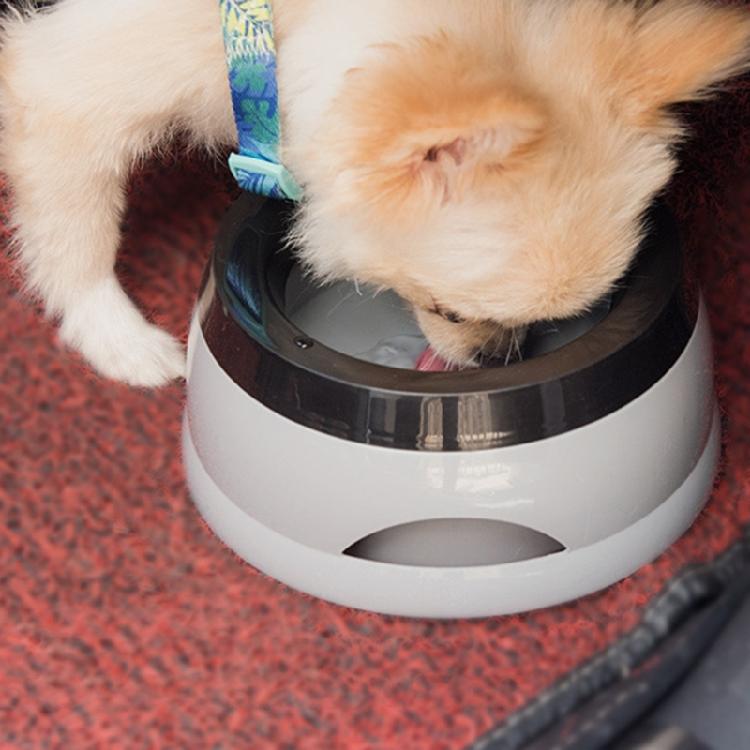 Dog Water Bowl No-Spill 25oz Slow Water Feeders for Dogs Cats Car Travel