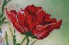 Kit for Embroidery with MICRO Beads On Canvas Abris Art