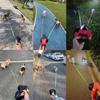 3M Dual Puppy Leash Automatic Small Dog Rope for 2 Dog Leash Multifunctional Strong Nylon Pet Rope with Night Light Bag Storage