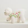 Fruit Series Dog Vest: Watermelon, Lemon, Cherry Designs