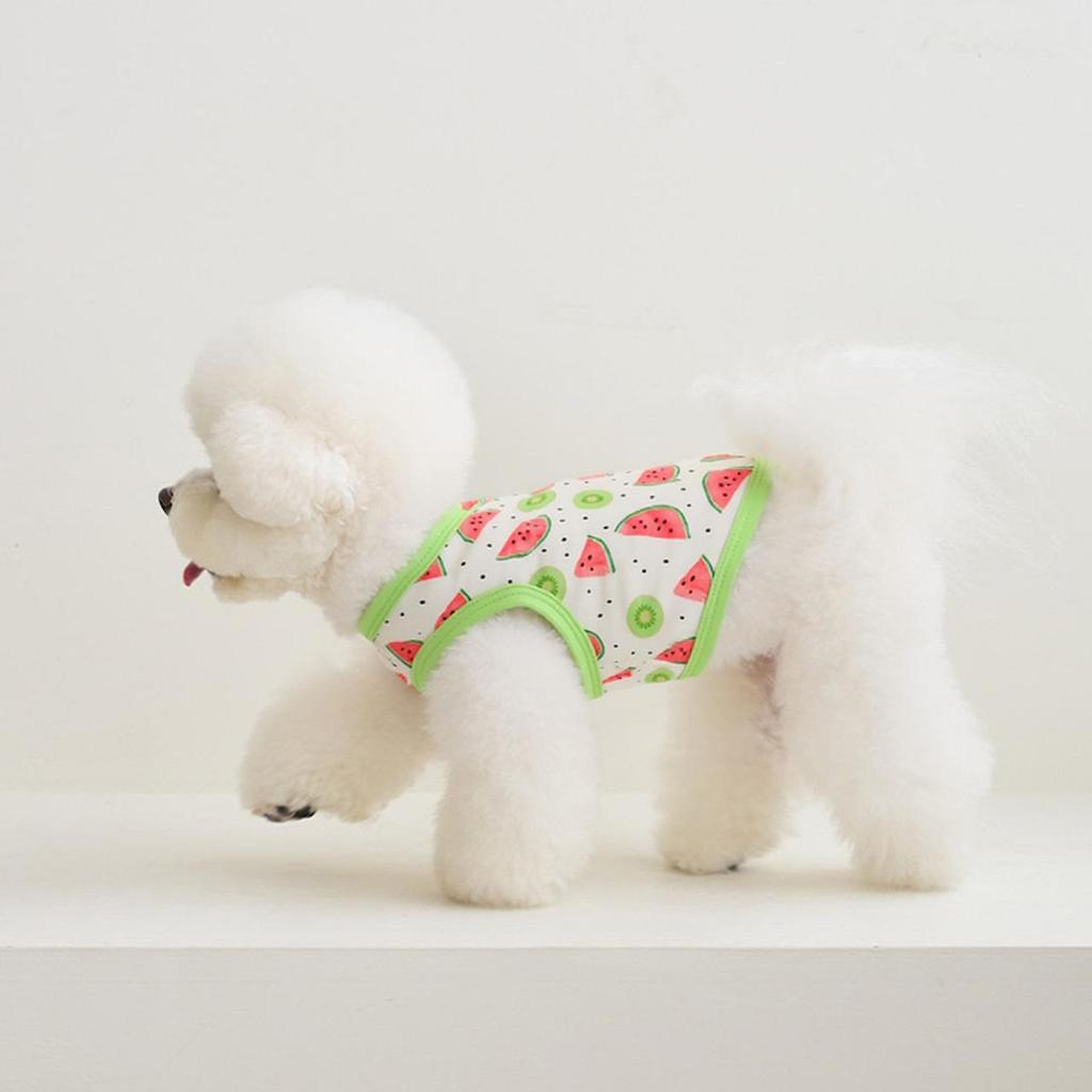 Fruit Series Dog Vest: Watermelon, Lemon, Cherry Designs