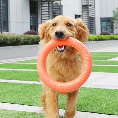 Hundscheibe Spielzeug Fliegender Ring Haustiere Wurfscheibe Hund Kauspielzeug Ungiftig Fitnessring Hunde Wasserspiel Zerrspielzeug Frisbee für Klein Mittel