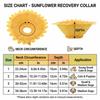 Soft Foam et Recovery Collar Adjustable Fit Anti-Lick Neck Ring  Daily Wound Care