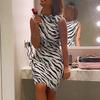 Women's Summer Sexy Sleeveless Stripe Print Mini Dress