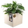 KADAX Flowerpot Flowerpot On Wheels Eco 40x40cm Light Brown