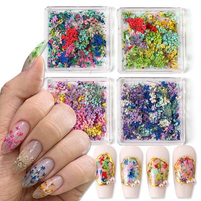 Décorations Nail Art DIY Style Japonais Gel Fleur Séchée Pour Ongles Art Bijoux Charms Fleur Décoration Salon de Beauté