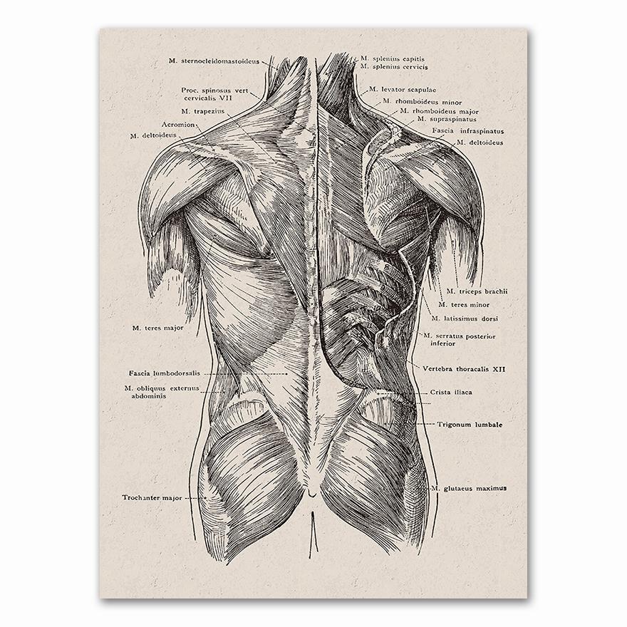 Anatomy skeleton Patent Vintage Poster Wall Art Print Canvas Painting Nordic Posters And Prints Wall Pictures For Living Room
