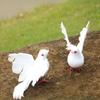 White Lifelike Artificial Bird Figurine Realistic Feathered Fake Peace Birds Ornaments for Christmas