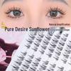 120 Cluster Glue-Free Soft Begonia False Eyelashes - Korean Style