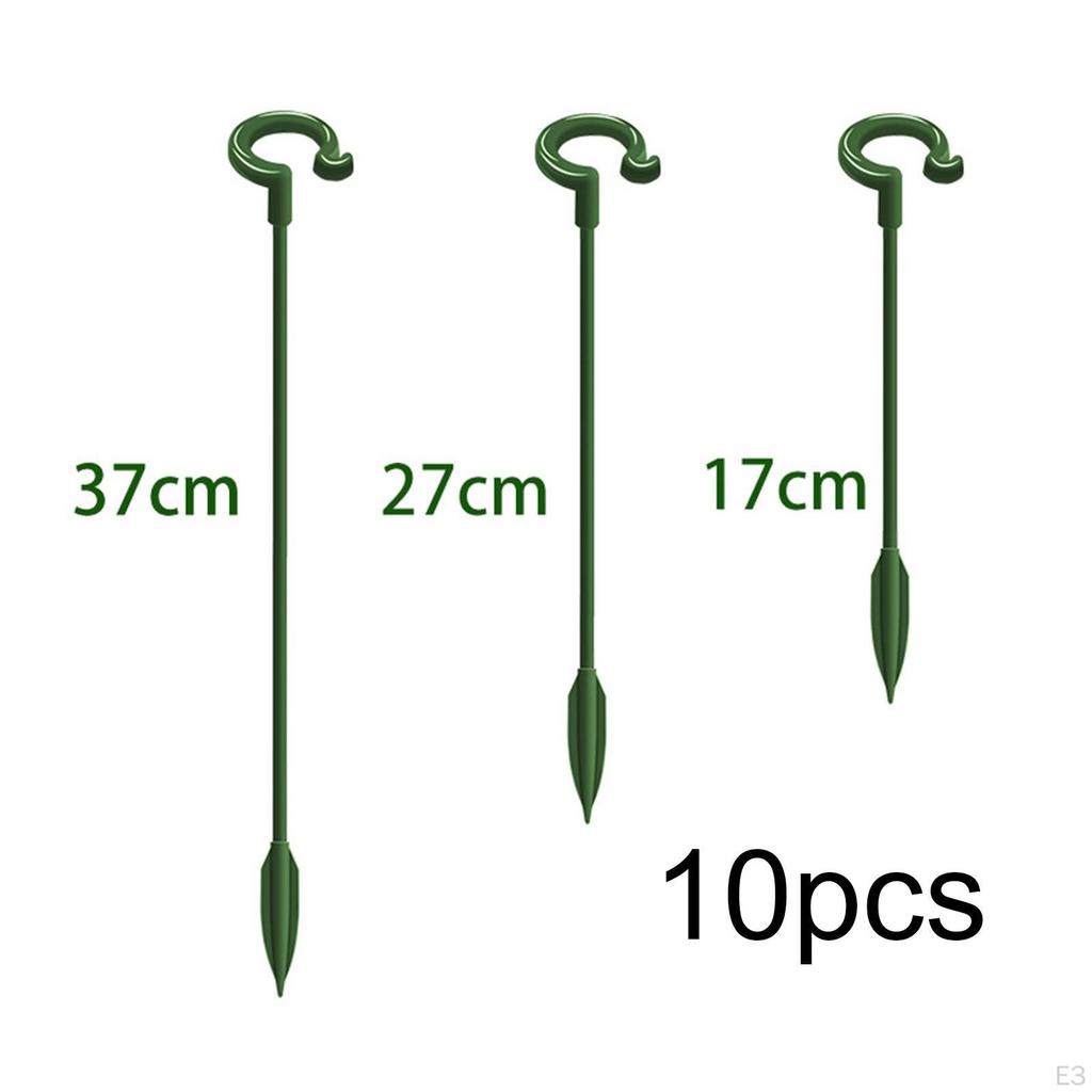 Support Stakes Roses Lilies