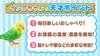 Takara Tomy TAKARATOMY Daily Talk Genius Parakeet Blue Blue Target 6 Years Old Brain Training Healing Partner Over 1100 Ways To Talk 10 Songs Age