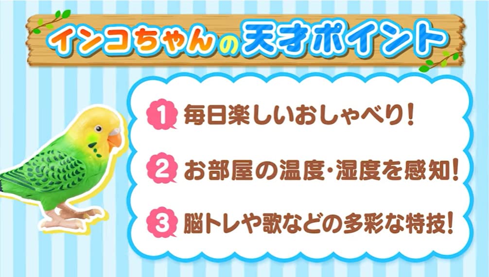 Takara Tomy TAKARATOMY Daily Talk Genius Parakeet Blue Blue Target 6 Years Old Brain Training Healing Partner Over 1100 Ways To Talk 10 Songs Age