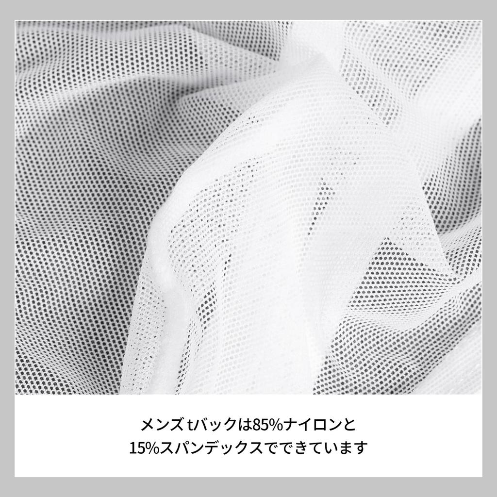 Amy Coulee Sheer Micro Mesh Sexy Lingerie Men's T-Back, Ultra-Thin (White, L)