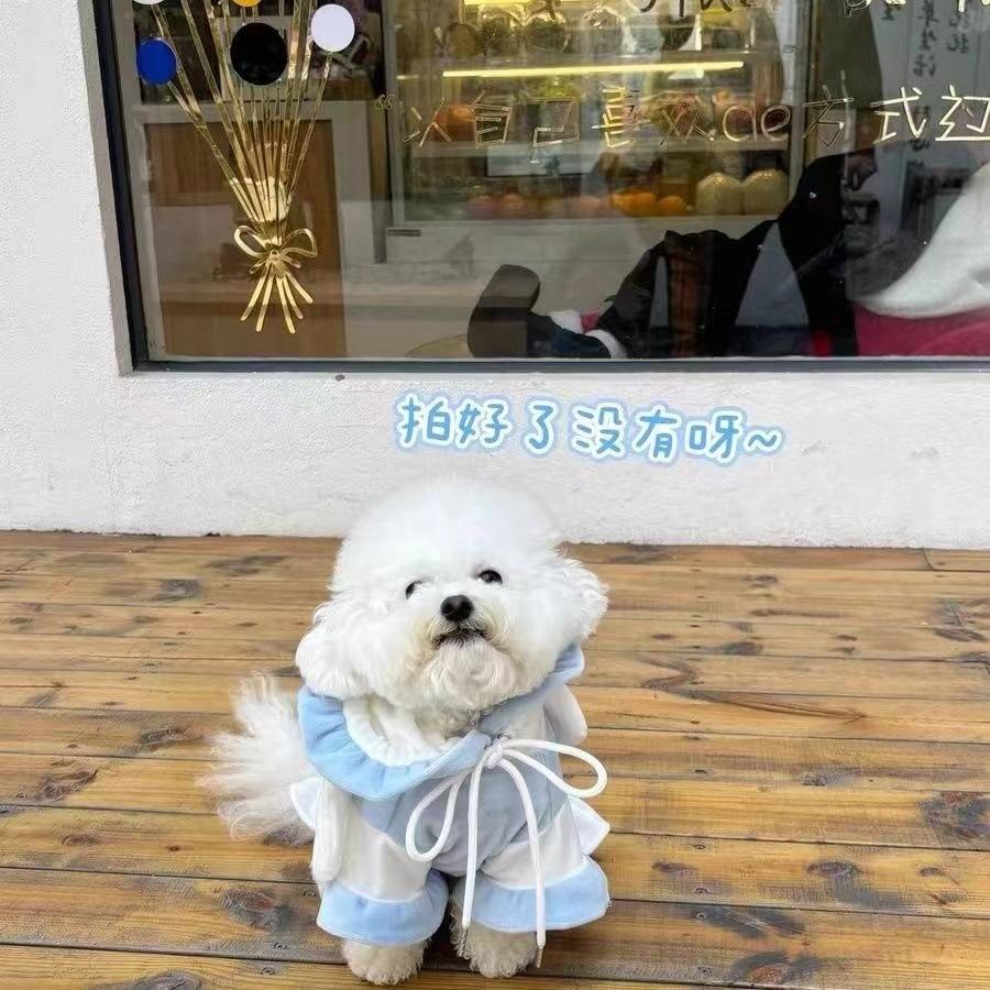 Pet Autumn/Winter Dog Doll Funny Clothes Autumn/Winter Plush Rabbit Ear Hoodie Teddy Bear Hoodie Cute Clothes Puppy Clothes