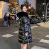 Stylish Winter Jacket Women's Shiny Down Coat Slim Fit Long Puffer Coat