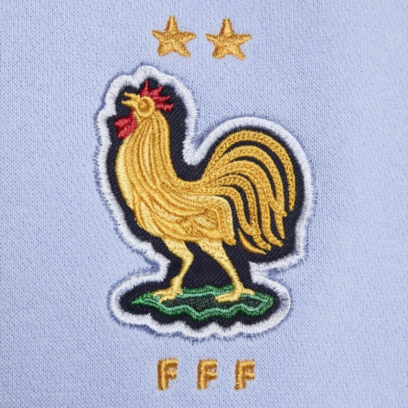 Nike Club Logo Animal Embroidery Hooded Casual Pullover Football Shirt Men Tops Light-Blue FJ7247-479