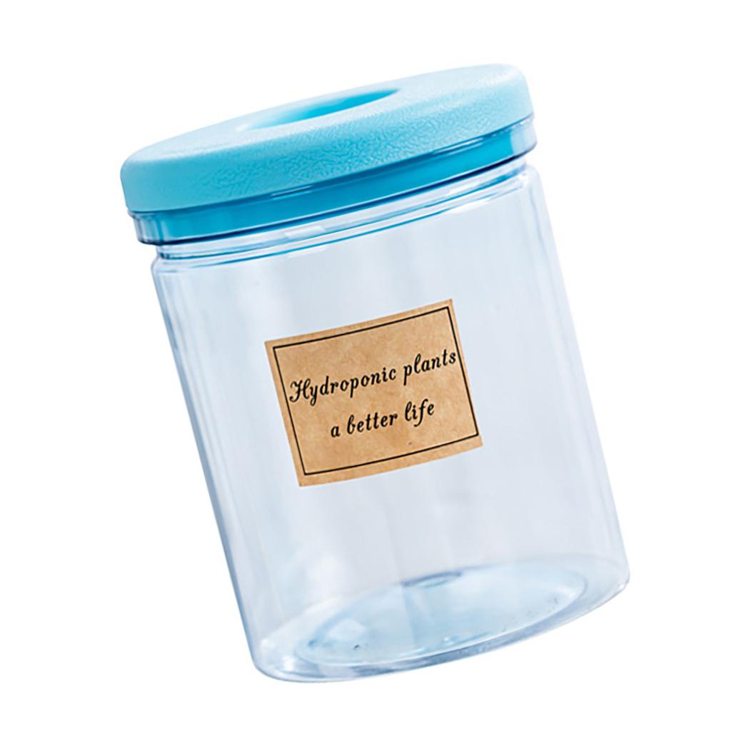 Self Watering Flowerpots Indoor Miniature Succulents Planter Tabletop Vase Suitable for Various Inner Decoration Setting