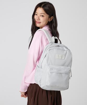 Jansport Mono Beyond Pack Oyster Mushroom