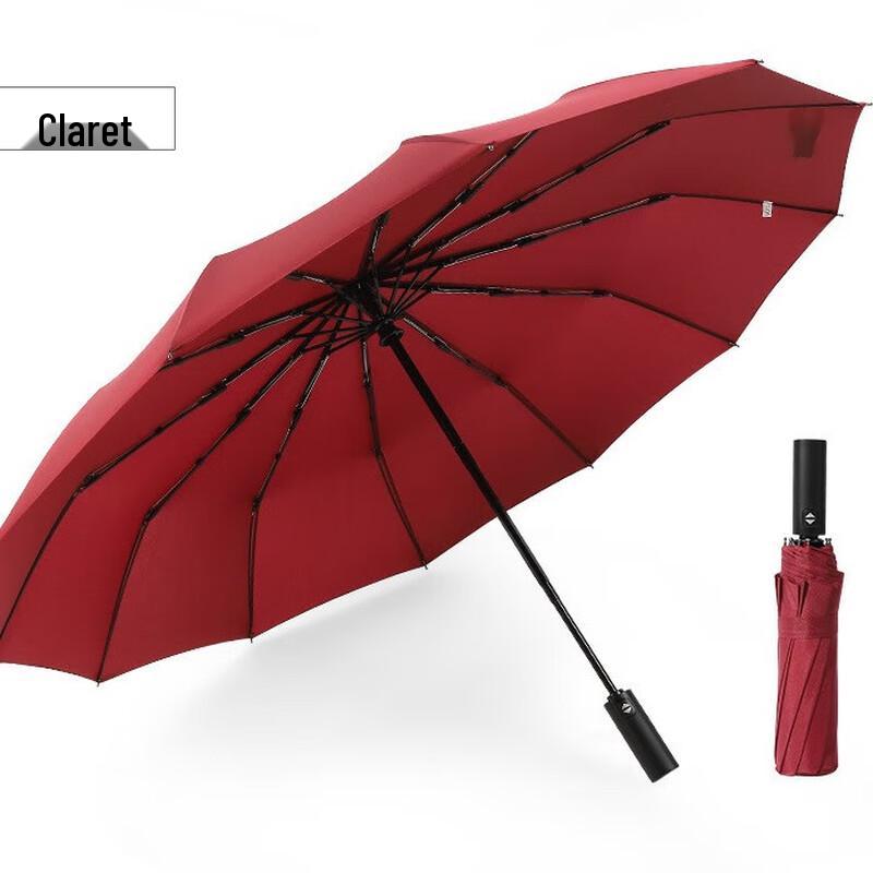 OIMG 2-Pack Folding Automatic Windproof Umbrella