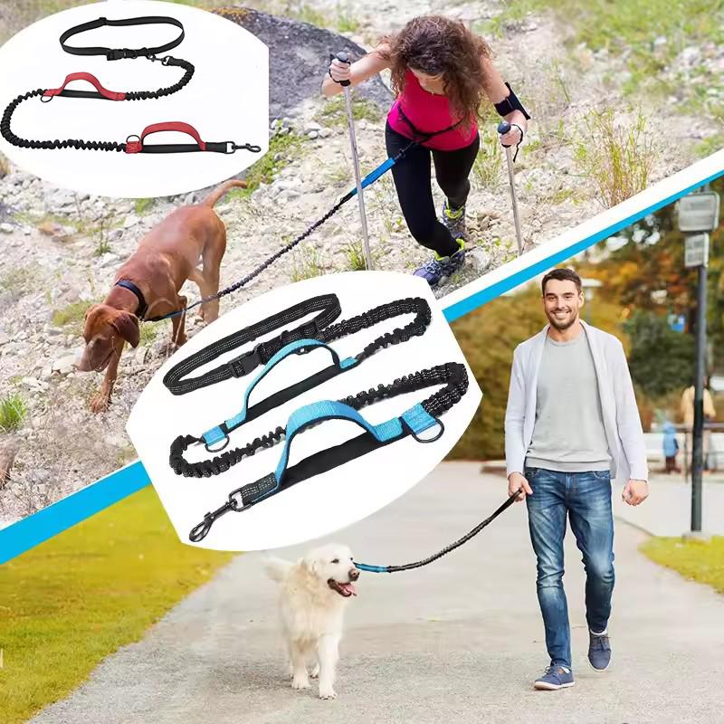 Outdoor Pet Dual Elastic Traction Rope Reflective Running At Night Stretchable Hands-free Dog Dual Handle Elastic Rope