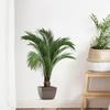 Simulation Greenery Potted Plant Wall Decal Easy Peeling and Stick Design Waterproof PVC Sticker for Indoor Space