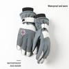 Longchan Men's Ski & Outdoor Gloves