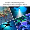 Super Bright Diving Flashlight IPX8 Highest Waterproof Rating Professional Powered With Hand Rope Underwater Video Diving Light