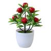 Artificial Potted Desktop Ornament: Green Plants & Money Fruit Bouquet