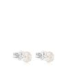 TOUS Icon Pearl Silver and Cultured Pearl Earrings /TOUS Icon Pearl Silver and Cultured Pearl Earrings/911143500