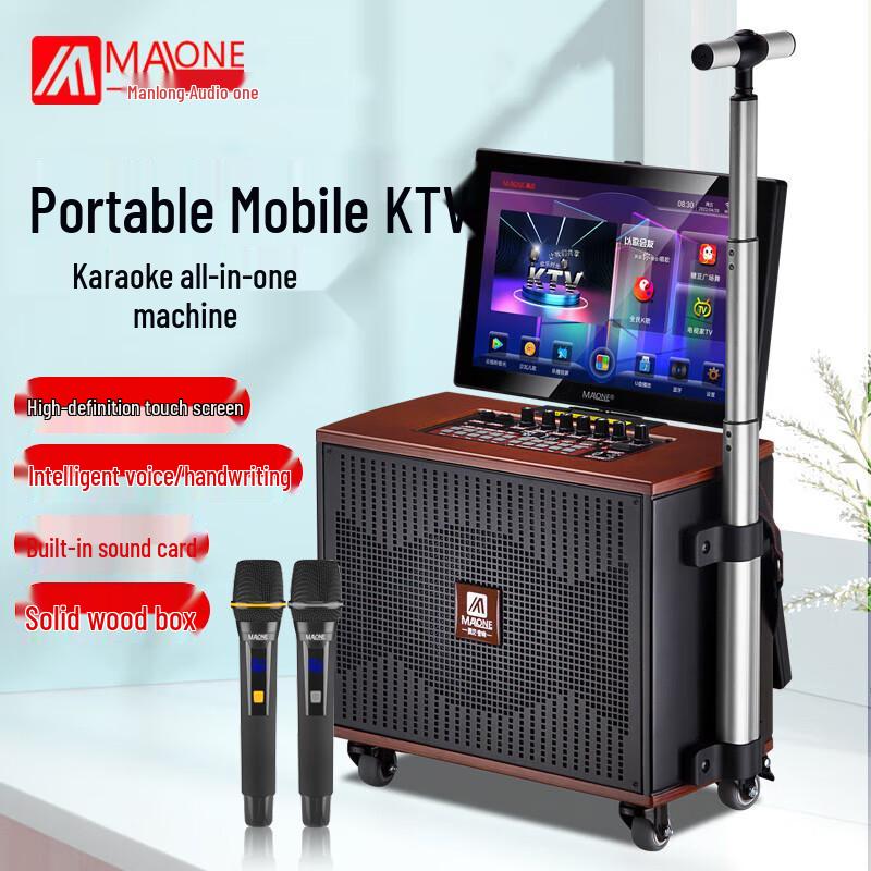 Malone KTV Karaoke Speaker System