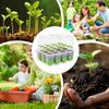 pots 12-cell Seedling Starter Tray Indoor Garden Greenhouse Growth Potting with Cover Adjustable Humidity Germination Box