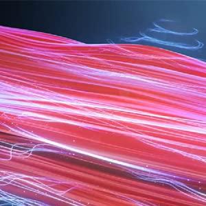 YA-MAN RF Facial Beauty Device Bloom WR STAR Bloom Double R Star Blue S12PLUS