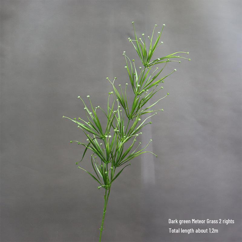 Asparagus Fern & Willow Buds Greenery for Wedding Decor & Landscaping