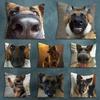 German Shepherd Dogs Various Sizes Square Pillow Case For Car Home Bedchamber Decor Birthday Gift